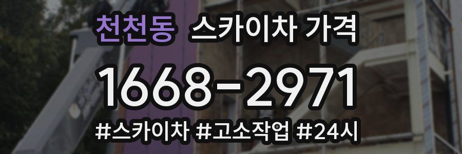 천천동 스카이차 가격