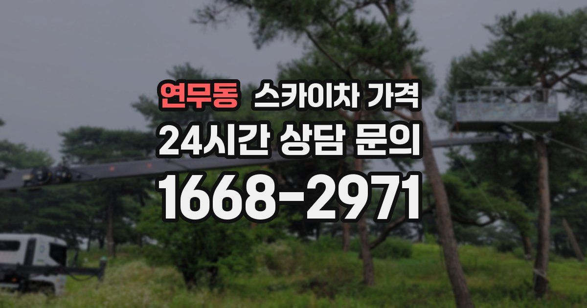 연무동 스카이차 가격