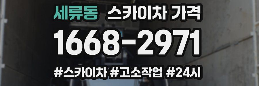 세류동 스카이차 가격