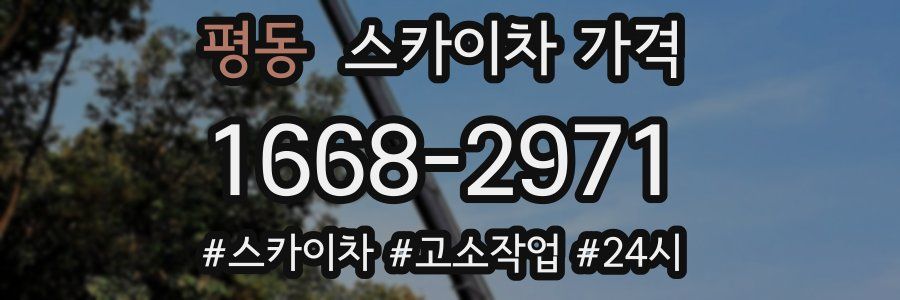 평동 스카이차 가격