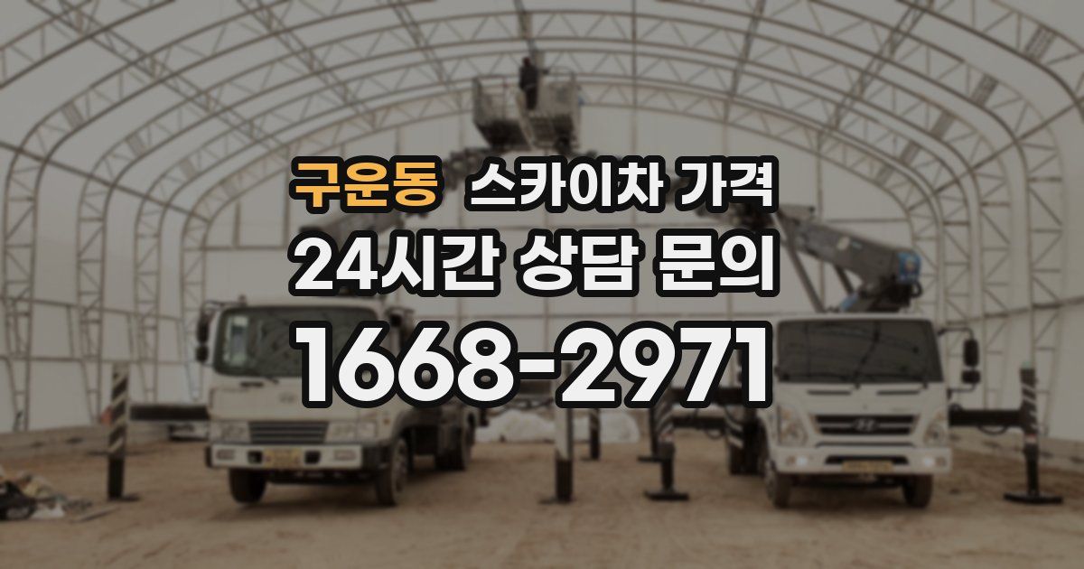 구운동 스카이차 가격