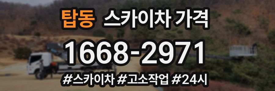 탑동 스카이차 가격