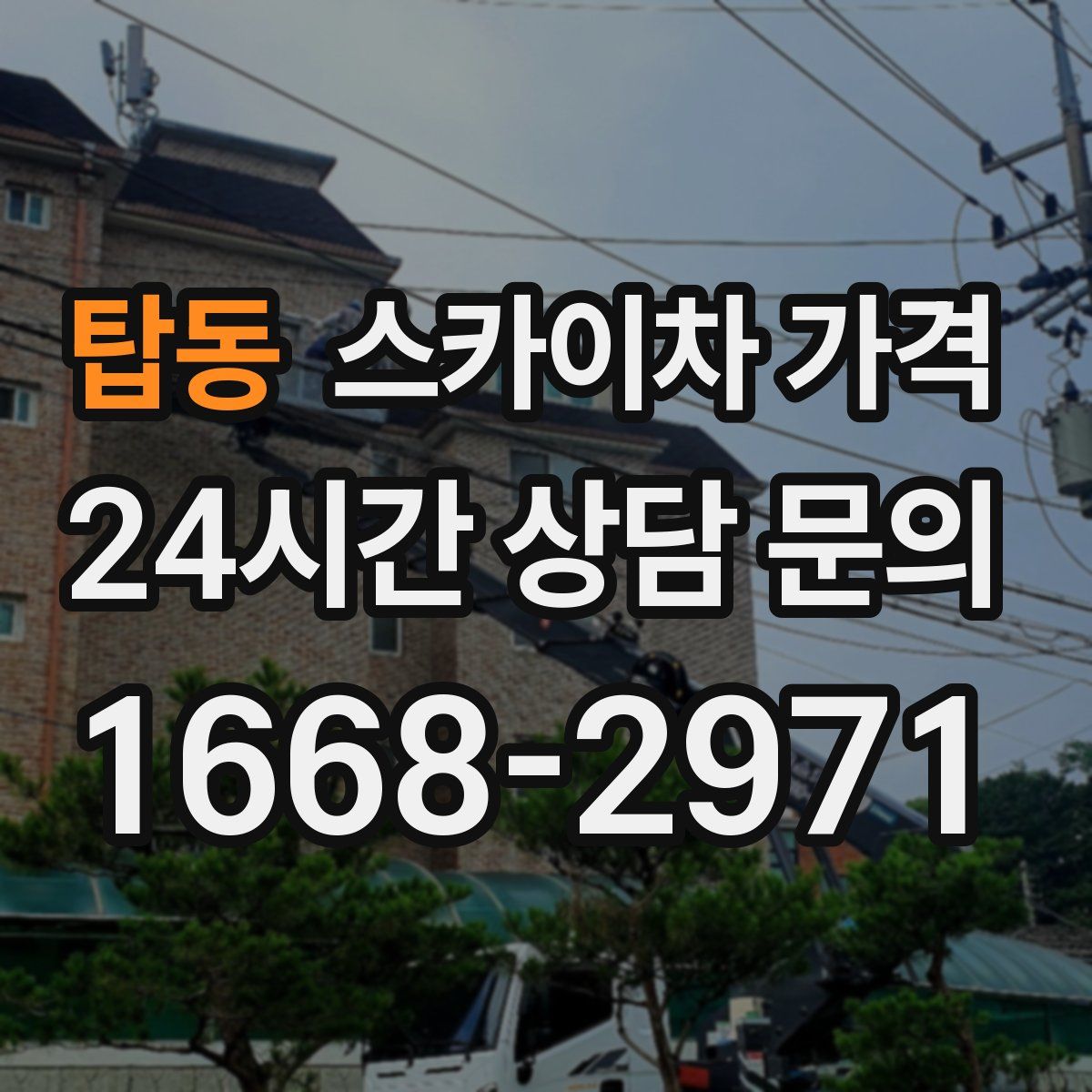 탑동 스카이차 가격