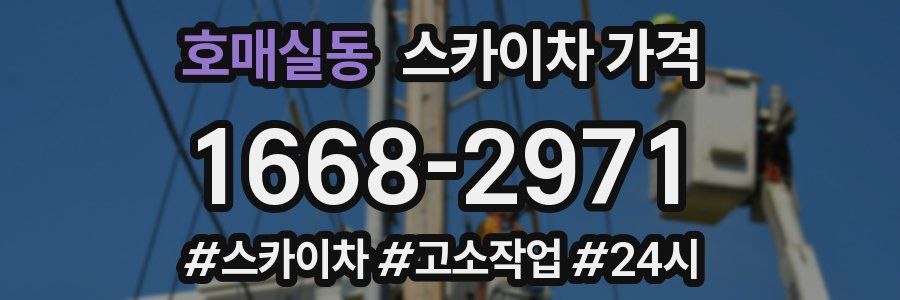 호매실동 스카이차 가격