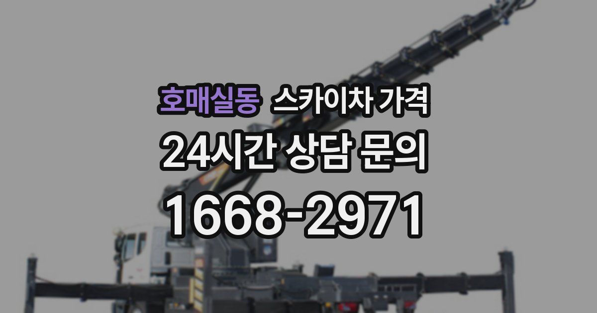 호매실동 스카이차 가격