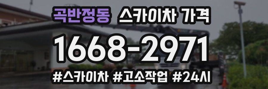 곡반정동 스카이차 가격