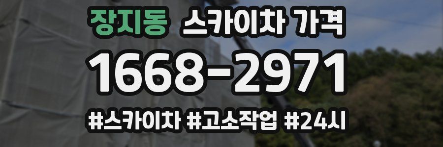 장지동 스카이차 가격