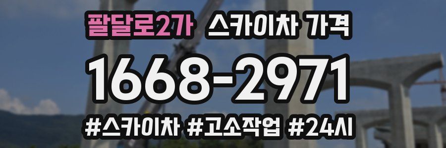 팔달로2가 스카이차 가격