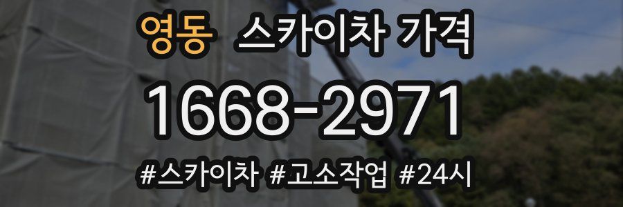 영동 스카이차 가격