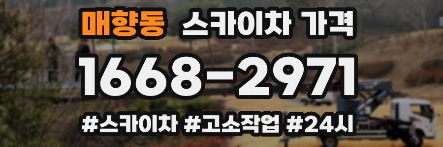 매향동 스카이차 가격