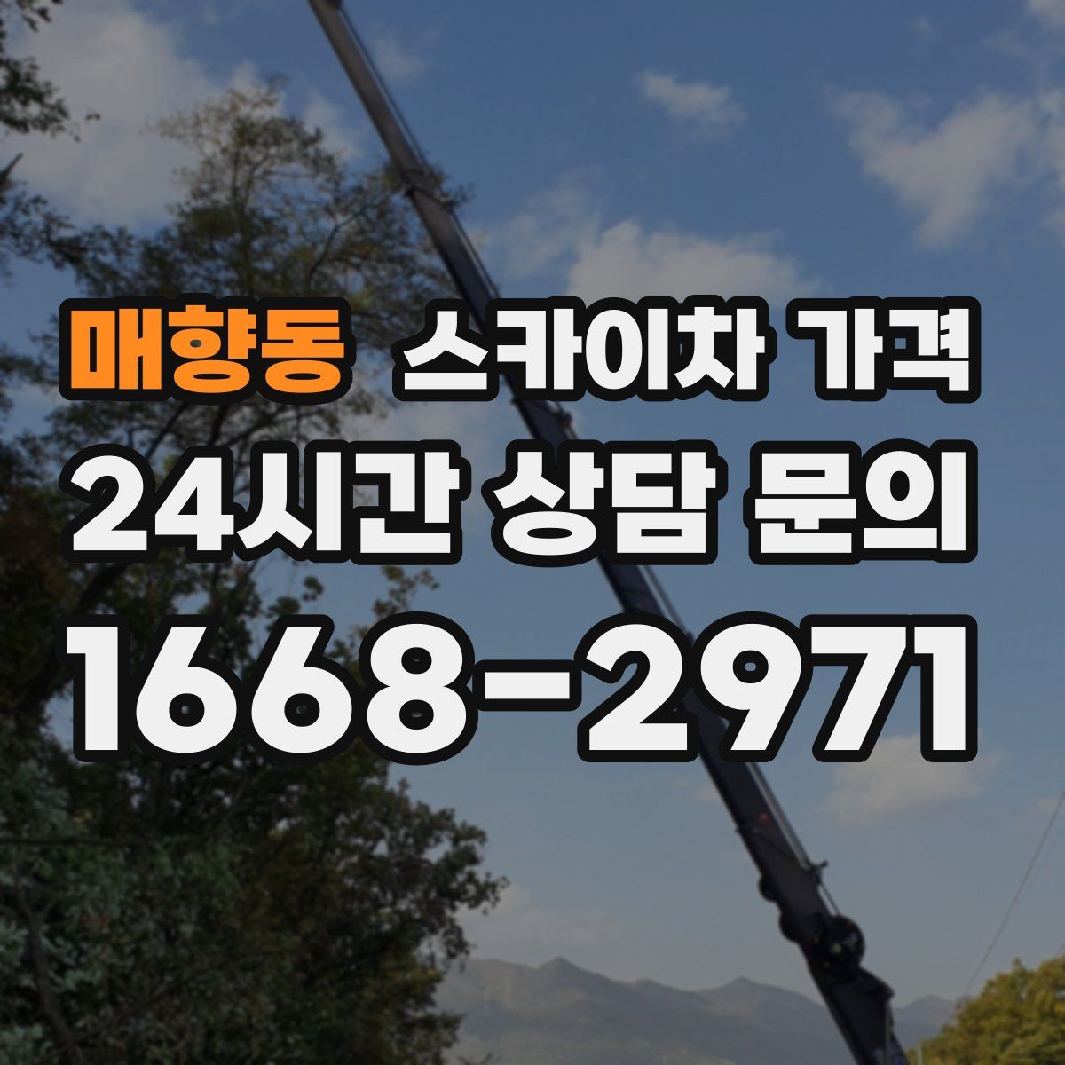 매향동 스카이차 가격