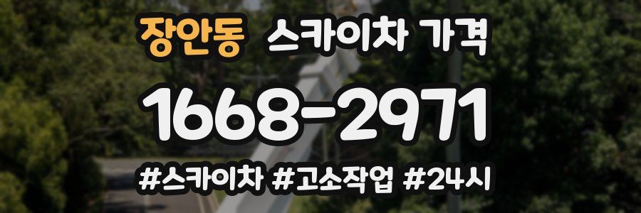 장안동 스카이차 가격