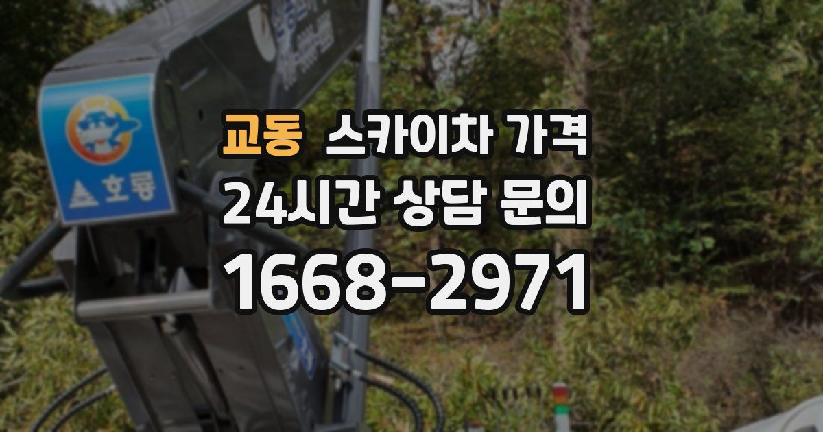 교동 스카이차 가격