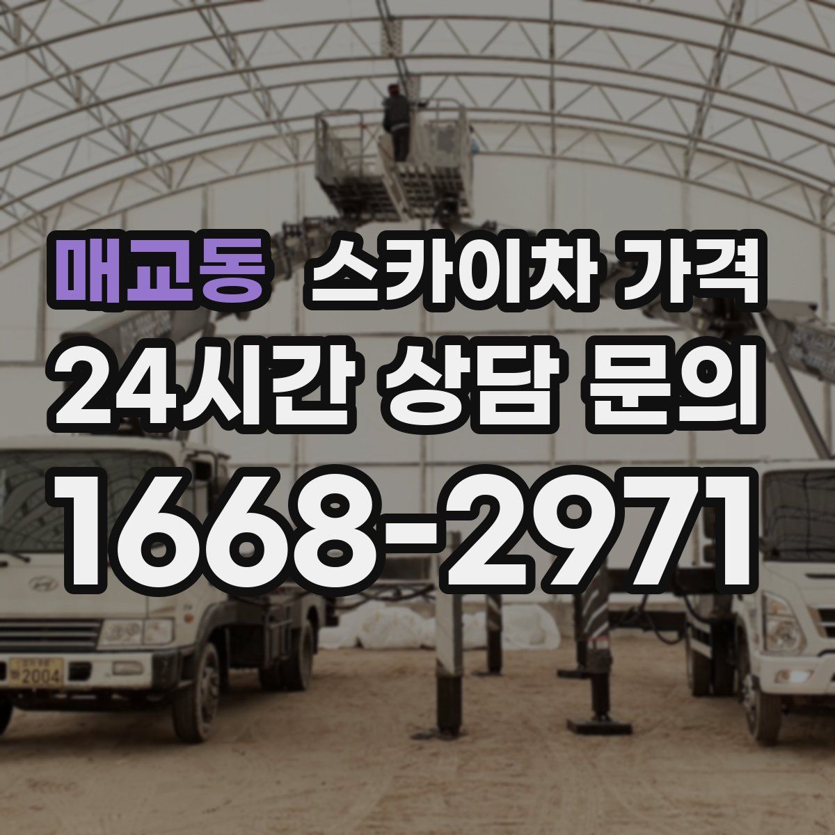 매교동 스카이차 가격