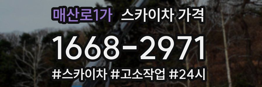 매산로1가 스카이차 가격