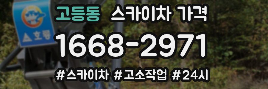 고등동 스카이차 가격