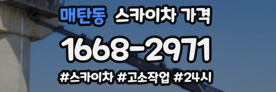 매탄동 스카이차 가격