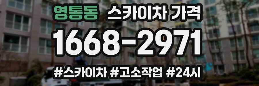 영통동 스카이차 가격