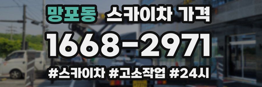 망포동 스카이차 가격