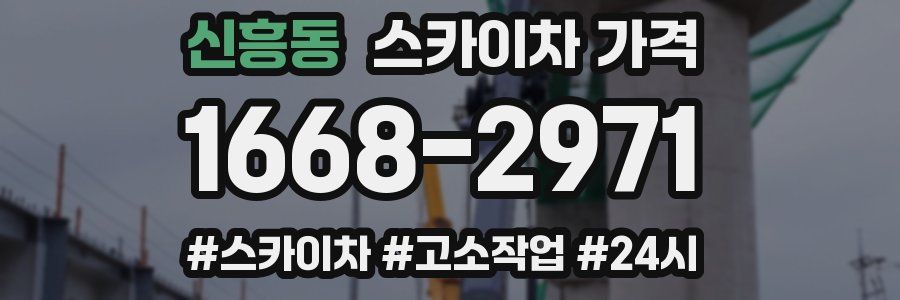 신흥동 스카이차 가격