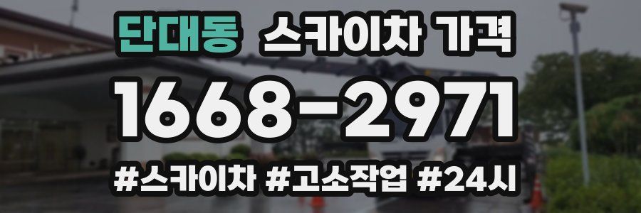 단대동 스카이차 가격