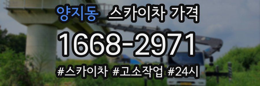 양지동 스카이차 가격