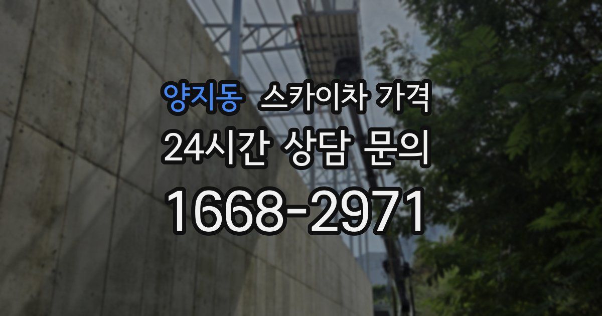 양지동 스카이차 가격