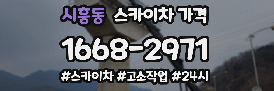 시흥동 스카이차 가격