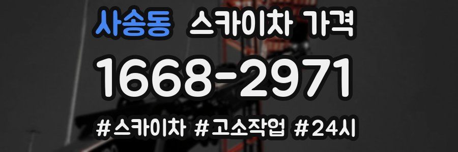 사송동 스카이차 가격