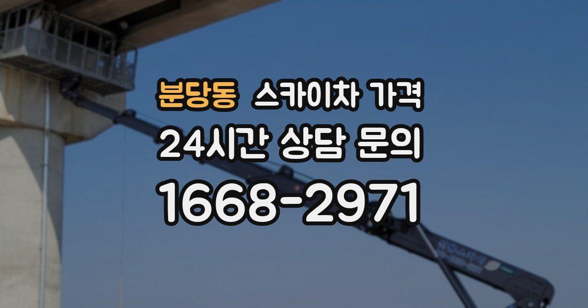 분당동 스카이차 가격