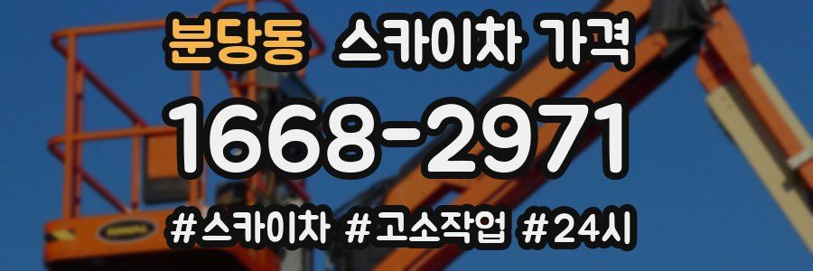 분당동 스카이차 가격