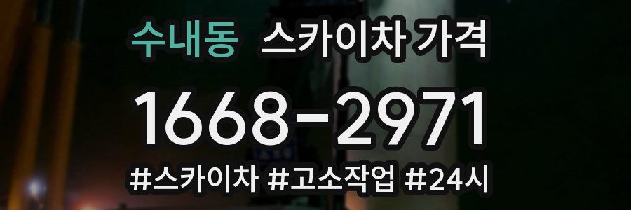 수내동 스카이차 가격