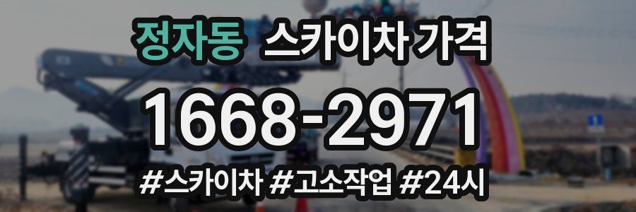 정자동 스카이차 가격