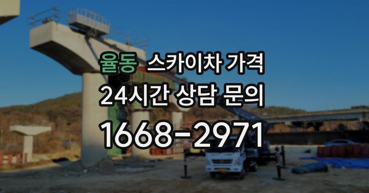 율동 스카이차 가격