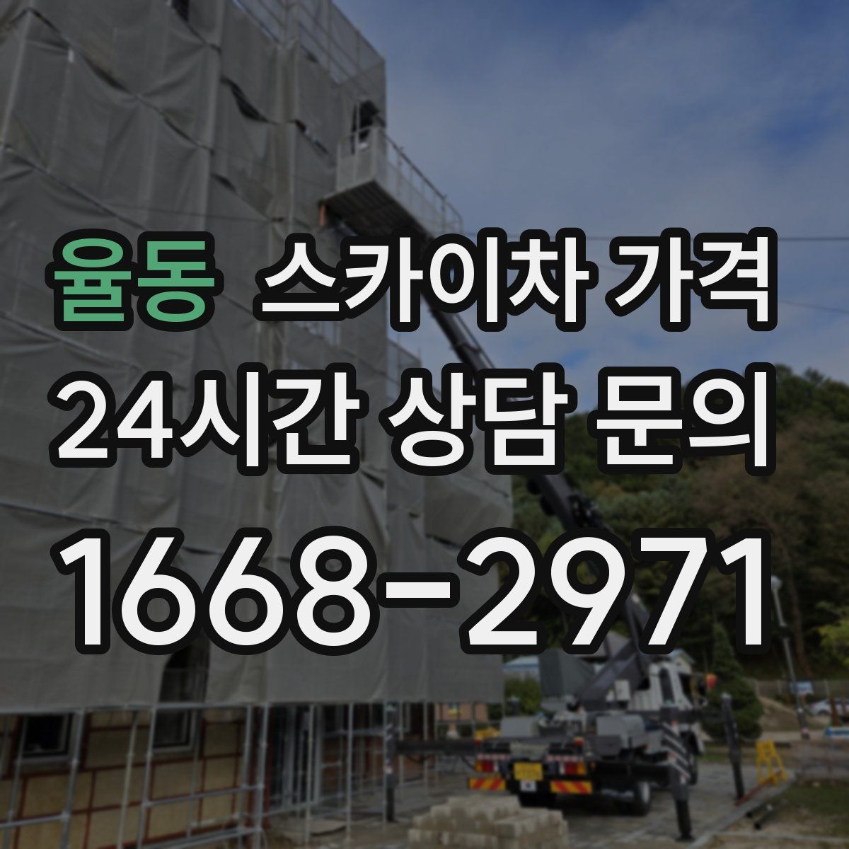 율동 스카이차 가격