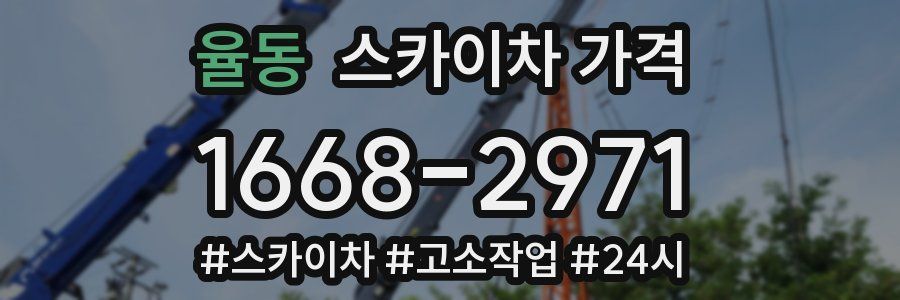 율동 스카이차 가격