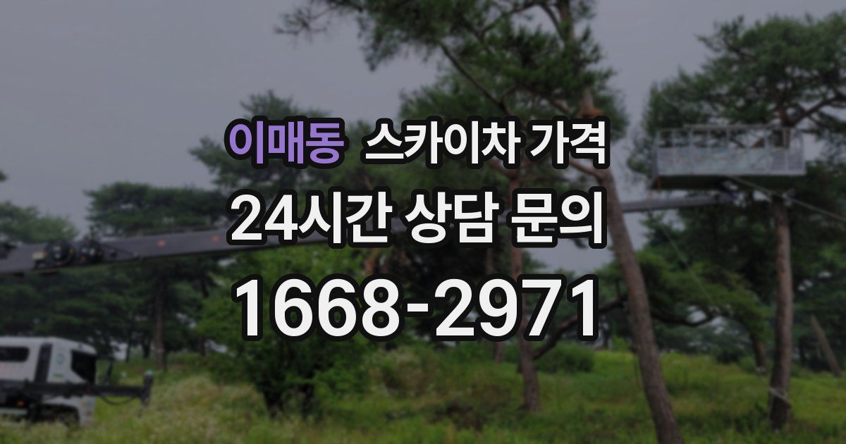 이매동 스카이차 가격