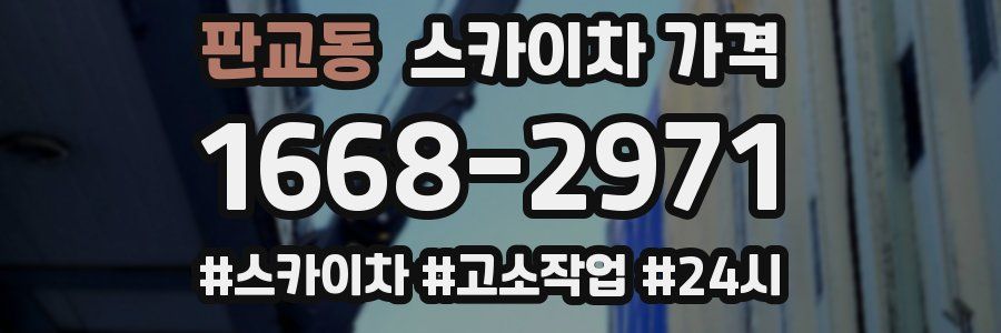 판교동 스카이차 가격