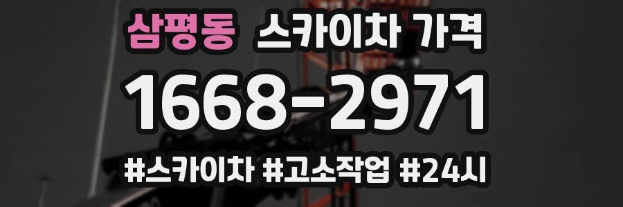 삼평동 스카이차 가격