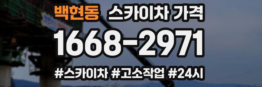 백현동 스카이차 가격