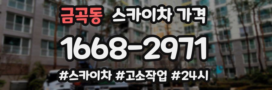 금곡동 스카이차 가격