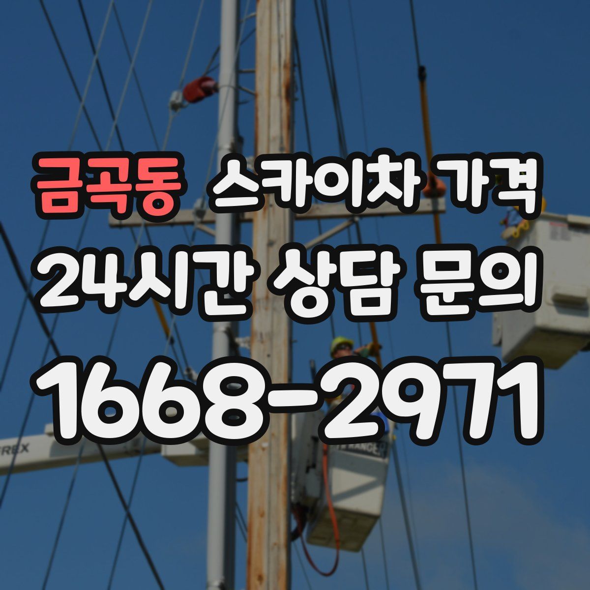 금곡동 스카이차 가격