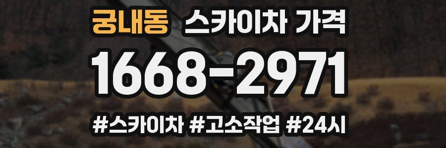 궁내동 스카이차 가격