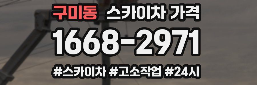 구미동 스카이차 가격