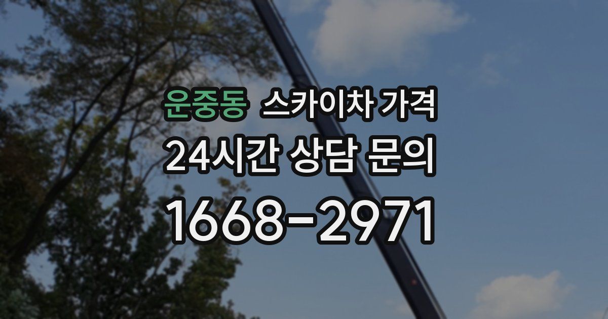 운중동 스카이차 가격