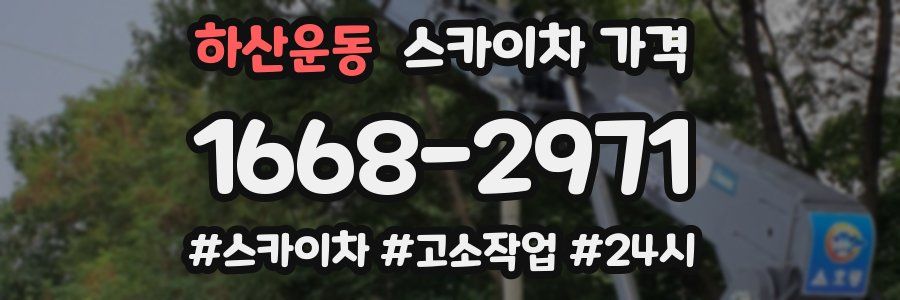 하산운동 스카이차 가격