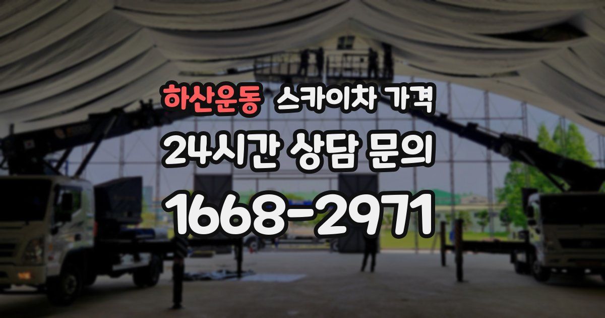 하산운동 스카이차 가격