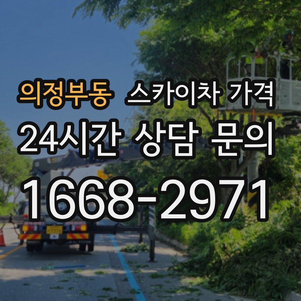 의정부동 스카이차 가격