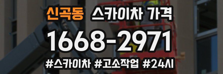 신곡동 스카이차 가격