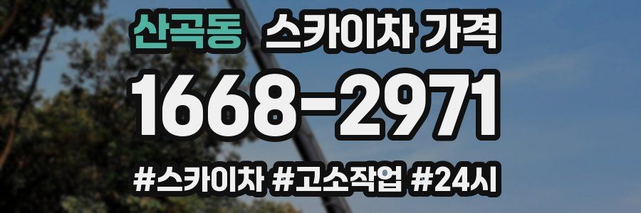 산곡동 스카이차 가격